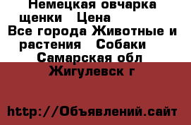 Немецкая овчарка щенки › Цена ­ 20 000 - Все города Животные и растения » Собаки   . Самарская обл.,Жигулевск г.